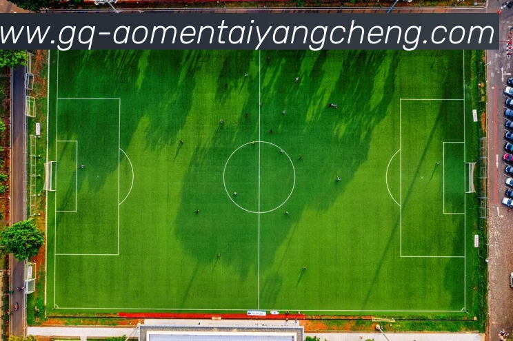 太阳城网站服务体系